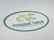 Logo Tasarımı